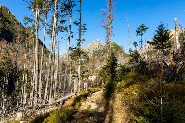 Slowakei Schöne Herbstlandschaft Der Hohen Tatra Beim Trekking Zum Lomnitzer — Stockfoto