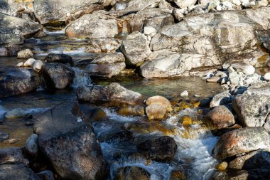 Tatra Dağı, Slovakya 'da Şelale - Studenovodsky. 