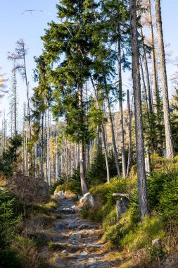 Slovakya. Lomnicky Tepesi (Lomnicky Dikişi) ve Kezmarsky Tepesi, Slovakya
