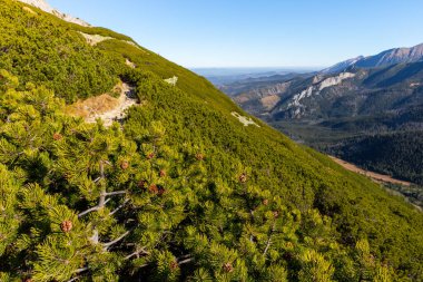 Slovakya. Lomnicky Tepesi (Lomnicky Dikişi) ve Kezmarsky Tepesi, Slovakya