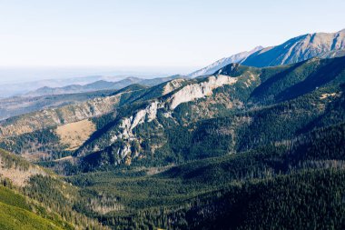 Tatra Dağları güneşli sonbahar gününde zirveye çıkar. Doğa manzarası. Zakopane, Polonya.   