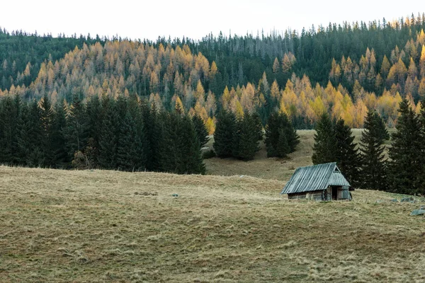 塔特拉山在阳光灿烂的秋日达到顶峰 自然景观 波兰Zakopane — 图库照片