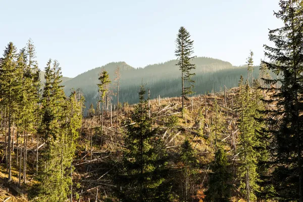 Montanhas Tatra Picos Dia Ensolarado Outono Natureza Paisagem Zakopane Polónia — Fotografia de Stock