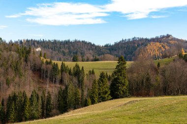 Polonya 'nın Szczawnica yakınlarındaki Pieniny Dağları' nın renkli sonbahar manzarası. Tatra Dağlarında Görünüm.