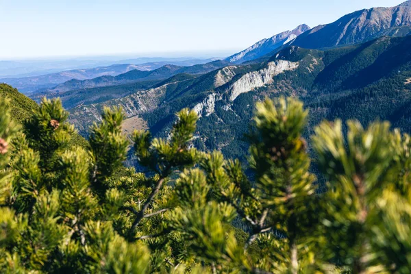 Montanhas Tatra Picos Dia Ensolarado Outono Natureza Paisagem Zakopane Polónia — Fotografia de Stock