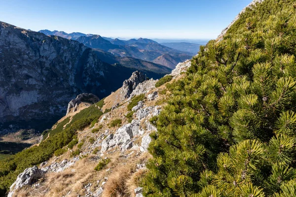 Tatra Βουνά Κορυφές Ηλιόλουστη Ημέρα Του Φθινοπώρου Φυσικό Τοπίο Zakopane — Φωτογραφία Αρχείου