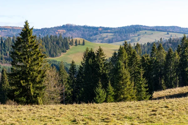 Kolorowa Jesienna Panorama Pienin Koło Szczawnicy Widok Tatry — Zdjęcie stockowe