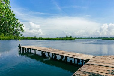 Panama. Tropikal Ada Hava Manzarası. Vahşi sahil şeridi yemyeşil egzotik orman. Bastimentos Adası 'ndaki Kızıl Kurbağa Sahili, Bocas del Toro, Orta Amerika, Panama.