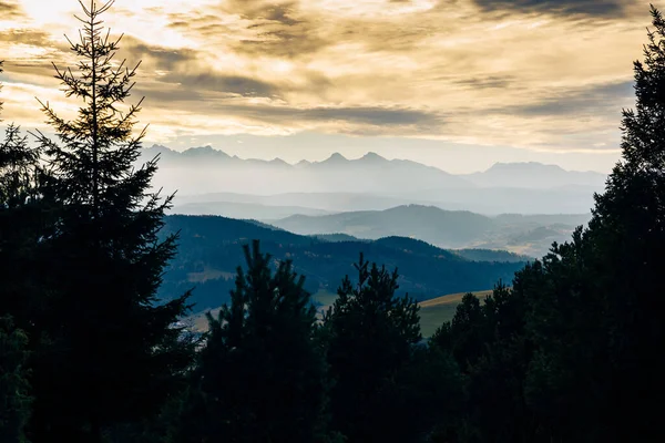 Färgglada Höst Panorama Över Pieniny Bergen Nära Szczawnica Polen Utsikt — Stockfoto