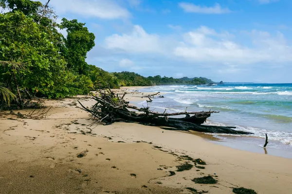Panama Tropical Island Vue Aérienne Côte Sauvage Luxuriante Jungle Verte — Photo