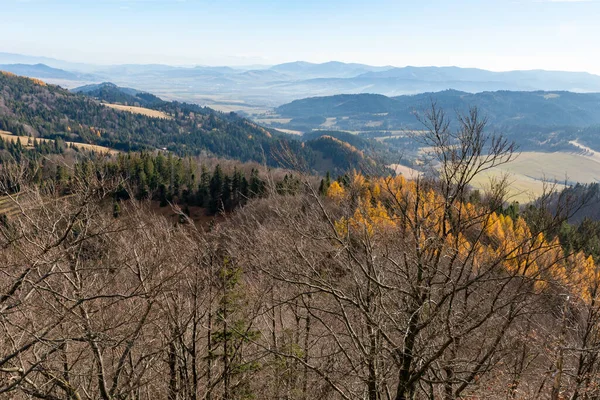 Färgglada Höst Panorama Över Pieniny Bergen Nära Szczawnica Polen Utsikt — Stockfoto