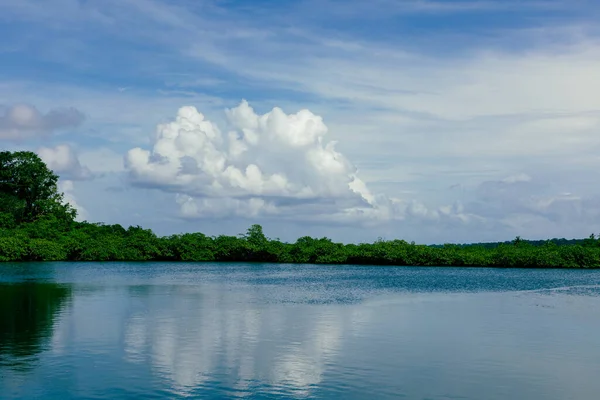 Panama Tropical Island Luftaufnahme Wilde Küste Üppig Exotisch Grünen Dschungel — Stockfoto