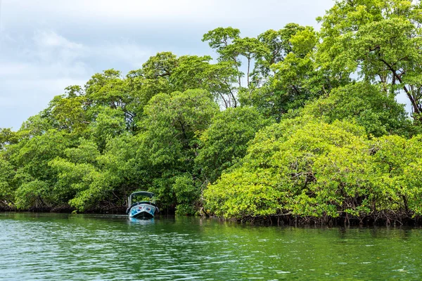 Panama Tropical Island Aerial View Wild Coastline Lush Exotic Green — Stock Photo, Image