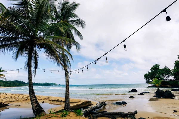 熱帯のビーチ ヤシの木と静かなカリブ海のビーチ Bastimentos Island Bocas Del Toro 中央アメリカ パナマ — ストック写真