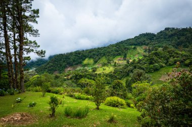 Boquete, Panama yakınlarında kayıp şelale yürüyüş yolu. Tropik yağmur ormanları.