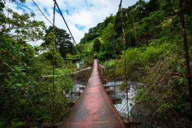 Lost Waterfalls hiking trail near Boquete, Panama. Tropical rainforest. clipart
