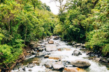Boquete, Panama yakınlarında kayıp şelale yürüyüş yolu. Tropik yağmur ormanları.