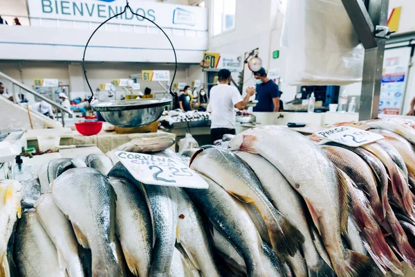 Mercado Pescado Ciudad Pamana Panamá — Foto de Stock