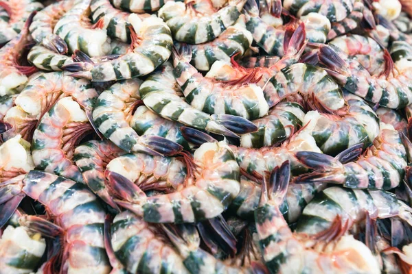 Close King Prawn Market — Stockfoto