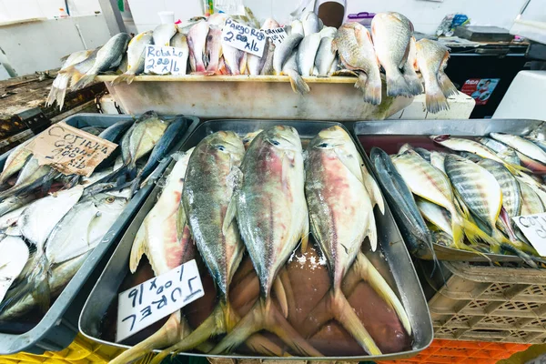 Mercado Pescado Ciudad Pamana Panamá —  Fotos de Stock