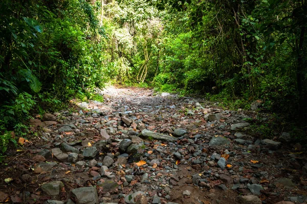 Lost Waterfalls Hiking Trail Boquete Panama Tropical Rainforest — Stock Photo, Image