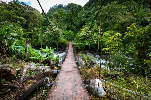 Потерянные Водопады Туристическая Тропа Близ Бокете Панама Тропические Леса — стоковое фото