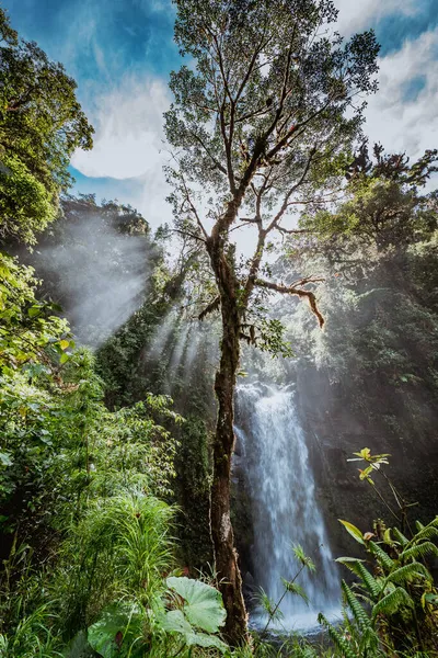 Perdeu Cachoeiras Trilha Caminhada Perto Boquete Panamá Floresta Tropical — Fotografia de Stock