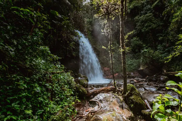 Lost Waterfalls hiking trail near Boquete, Panama. Tropical rainforest.