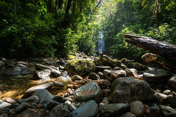 Elveszett Vízesések Túraútvonal Közelében Boquete Panama Trópusi Esőerdők — Stock Fotó