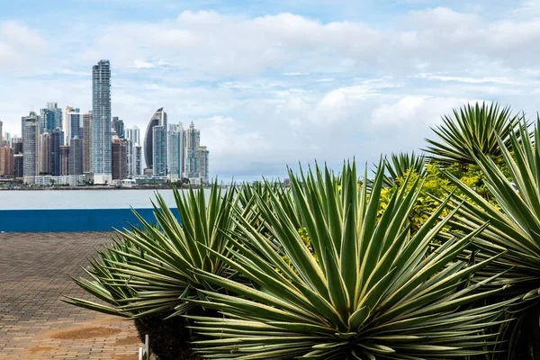 Drapacze Chmur Panamie Panorama Tle Popularne Miejsce Turystyczne Ameryce Środkowej — Zdjęcie stockowe