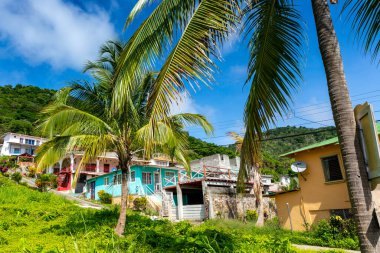 Taboga Adası. Panama City, Panama yakınlarındaki Pasifik 'teki tropik ada.