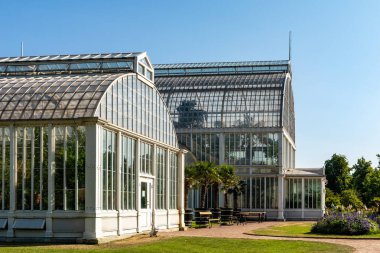 GOTHENBURG, SVEDEN - 24 Temmuz 2021: cam sera. Halka açık Palm House, Göteborg Bahçe Topluluğu 24 Temmuz 2021.