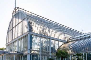 GOTHENBURG, SVEDEN - 24 Temmuz 2021: cam sera. Halka açık Palm House, Göteborg Bahçe Topluluğu 24 Temmuz 2021.
