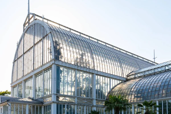 Gothenburg Sweden July 2021 Glass Greenhouse Public Palm House Garden — 스톡 사진