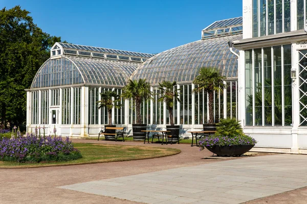 Gothenburg Suécia Julho 2021 Estufa Vidro Palm House Garden Society — Fotografia de Stock