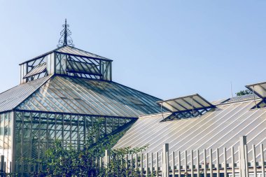 GOTHENBURG, SVEDEN - 24 Temmuz 2021: cam sera. Halka açık Palm House, Göteborg Bahçe Topluluğu 24 Temmuz 2021.