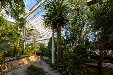 GOTHENBURG, SVEDEN - 24 Temmuz 2021: cam sera. Halka açık Palm House, Göteborg Bahçe Topluluğu 24 Temmuz 2021.