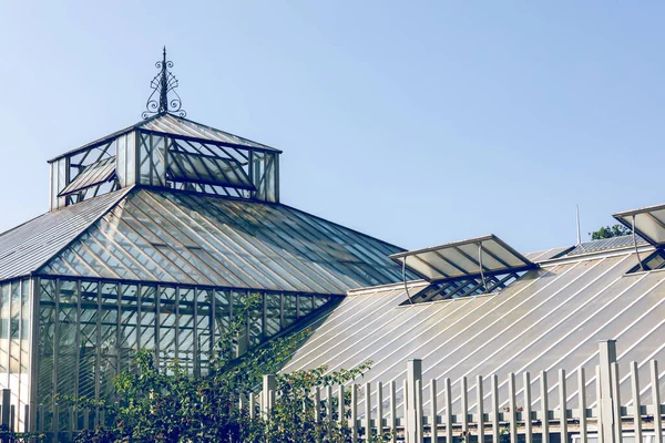 Gothenburg Sweden July 2021 Glass Greenhouse Public Palm House Garden — 스톡 사진