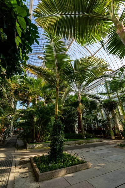 Gothenburg Sweden July 2021 Glass Greenhouse Public Palm House Garden — Stockfoto