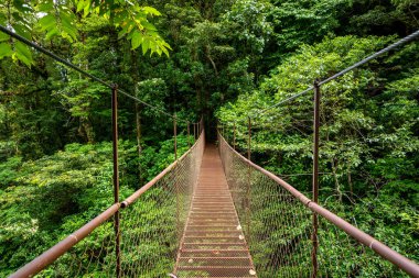 Panama yağmur ormanları. Panama Ormanı, Orta Amerika 'da eski asılı köprü. 