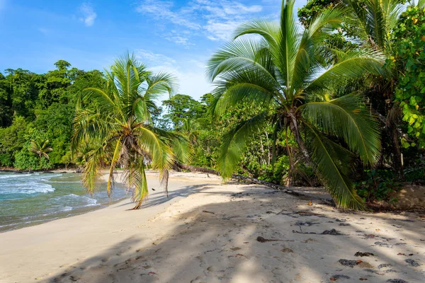 Unberührte Karibische Insel Mit Üppiger Vegetation Meerespark Von Bastimentos Cayos — Stockfoto