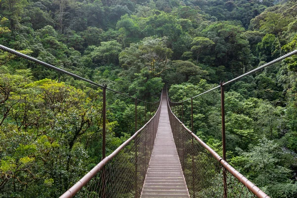 Floresta Tropical Panamá Ponte Suspensa Velha Selva Panamá América Central — Fotografia de Stock