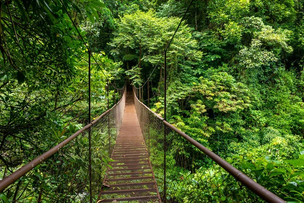 Panama Rainforest Old Hanging Bridge Jungle Panama Central America — Stock Photo, Image