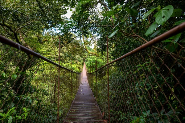 Floresta Tropical Panamá Ponte Suspensa Velha Selva Panamá América Central — Fotografia de Stock