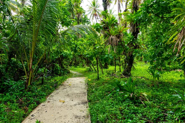 Het Ongerepte Caribische Eiland Met Weelderige Vegetatie Het Mariene Park — Stockfoto