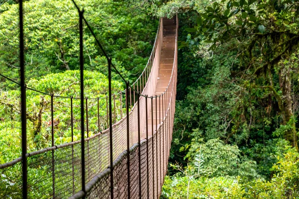 Floresta Tropical Panamá Ponte Suspensa Velha Selva Panamá América Central — Fotografia de Stock