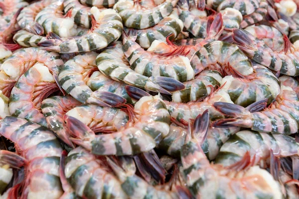 Langostinos Tigres Negros Crudos Sobre Hielo Mercado Tradicional Pescado Local —  Fotos de Stock