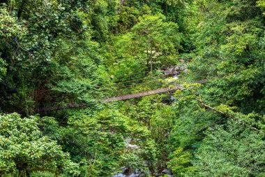 Boquete Panama 'daki Kayıp Şelaleler' e giden orman yolunda nefes kesici doğa.