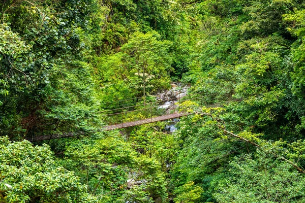 Las Deszczowy Panama Stary Most Wiszący Dżungli Panamy Ameryka Środkowa — Zdjęcie stockowe
