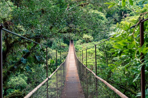 Panama Rainforest Old Hanging Bridge Jungle Panama Central America — стоковое фото